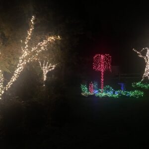The feast of backyard lights.