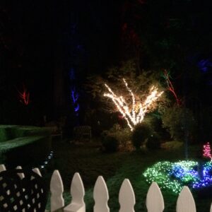 lights