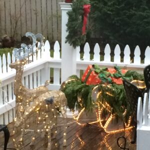 Debb gave us lit reindeer for Christmas.